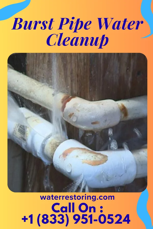 Burst Pipe Water Cleanup in St. John, ND