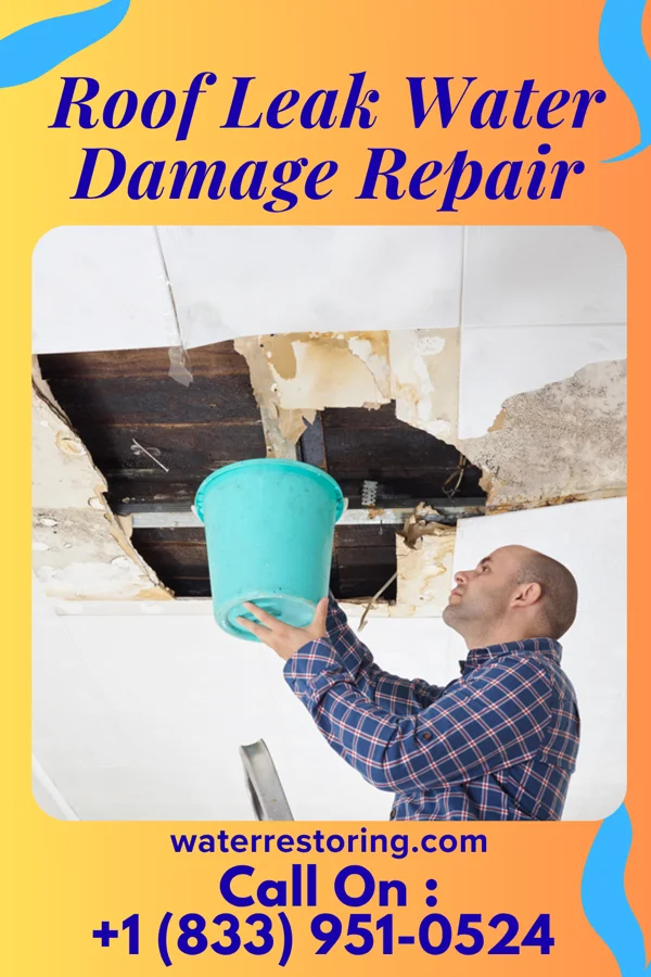 Roof Leak Water Damage Repair in St. John, ND